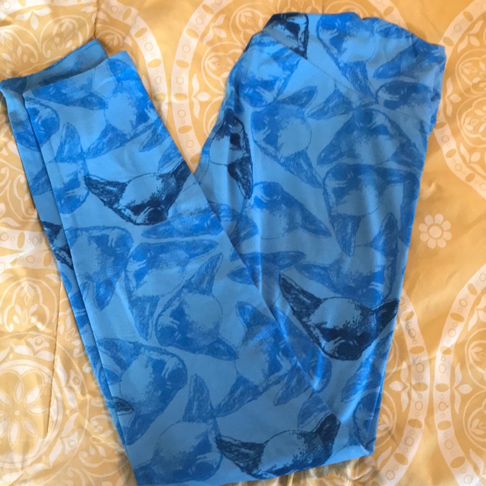 Chihuahua lularoe leggings.